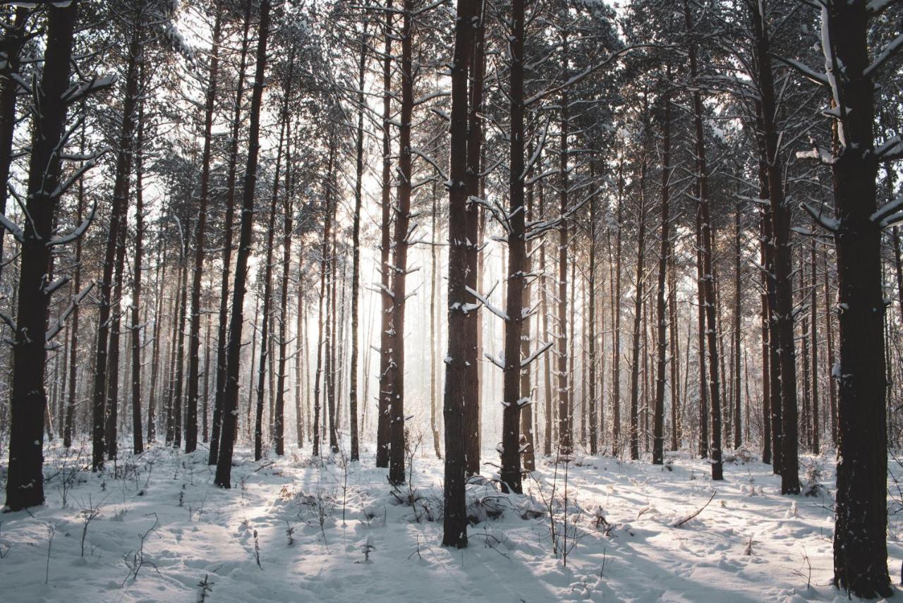 Jarzebinowa - Dom Do Wynajecia Na Podlasiu Luka Exteriér fotografie