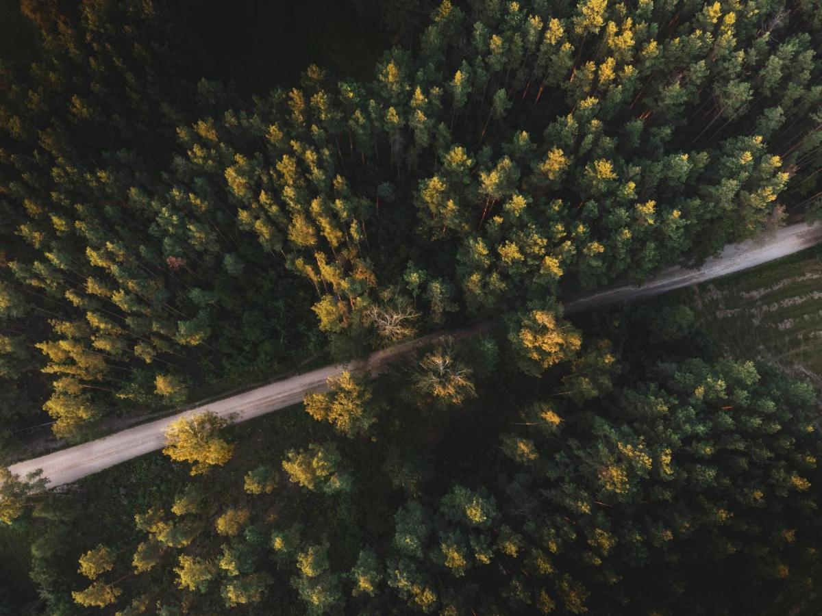 Jarzebinowa - Dom Do Wynajecia Na Podlasiu Luka Exteriér fotografie