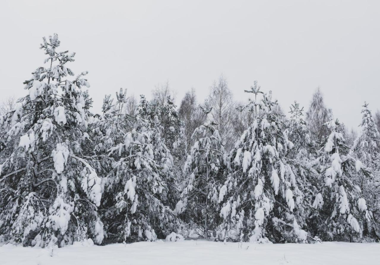 Jarzebinowa - Dom Do Wynajecia Na Podlasiu Luka Exteriér fotografie